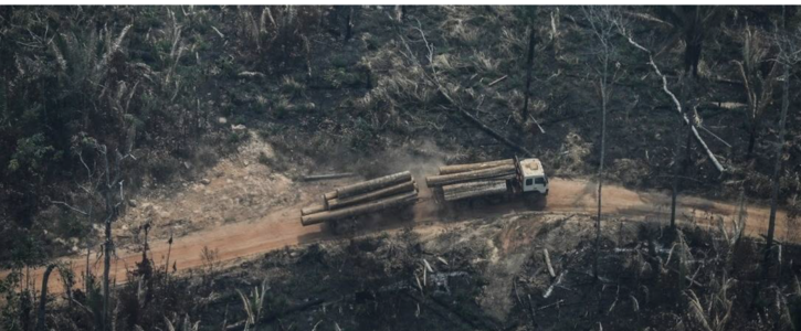EU Handelsembargo gegen Bolsonaro EU Handelsembargo gegen Bolsonaro