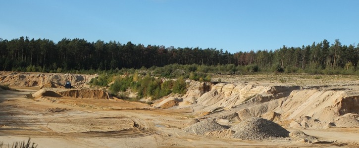 Raubbau im Wald verhindern: Waldverbundsystem schützen Raubbau im Wald verhindern: Waldverbundsystem schützen