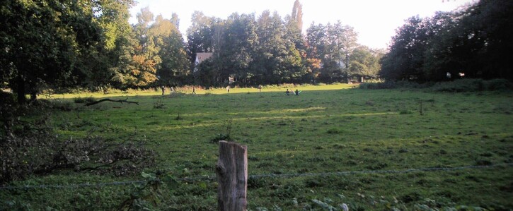 Pferdewiese Bebauung Plan 6130 Alte Marktstraße / Im Holz 51427 Refrath Kein Einzelschicksal !? Pferdewiese Bebauung Plan 6130 Alte Marktstraße / Im Holz 51427 Refrath Kein Einzelschicksal !?