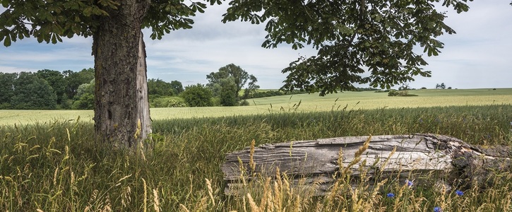 Keine Legehennenanlage in Cantnitz, Feldberger Seenlandschaft Keine Legehennenanlage in Cantnitz, Feldberger Seenlandschaft