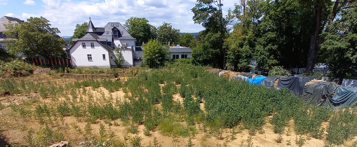 Kein Altstadt-Parkhaus, Verstoß gegen Klimaschutz! Petition „Klimawende Wetzlar Jetzt“ * Kein Altstadt-Parkhaus, Verstoß gegen Klimaschutz! Petition „Klimawende Wetzlar Jetzt“ *