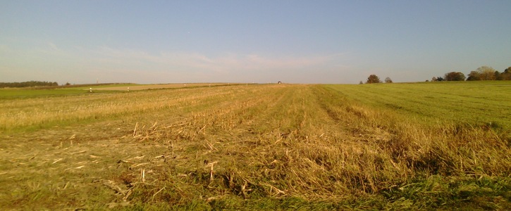 Regenerative Landwirtschaft jetzt! Regenerative Landwirtschaft jetzt!