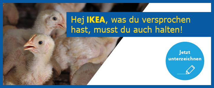 IKEA, halte dein Versprechen! Lass deine Hühner besser leben. IKEA, halte dein Versprechen! Lass deine Hühner besser leben.