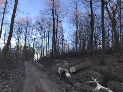 Es reicht! Keine massive Holzernte mehr im Stuttgarter Wald - dafür Naherholung u. Waldspielplätze! Es reicht! Keine massive Holzernte mehr im Stuttgarter Wald - dafür Naherholung u. Waldspielplätze!