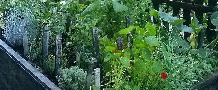 Agrarsubventionen ab jetzt nur noch für umweltfreundliche Produktion! Agrarsubventionen ab jetzt nur noch für umweltfreundliche Produktion!