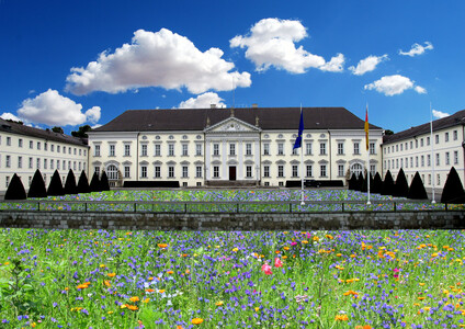 Wildblumenwiese ums Schloss Bellevue Wildblumenwiese ums Schloss Bellevue